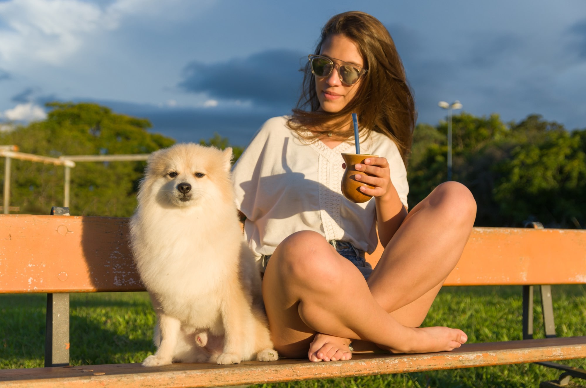 How Yerba Mate can help you get through the day