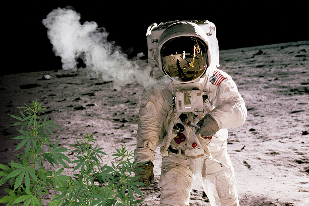 cannabis in space