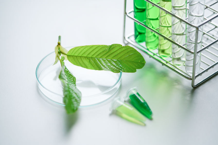 How do you choose the right type of kratom?
