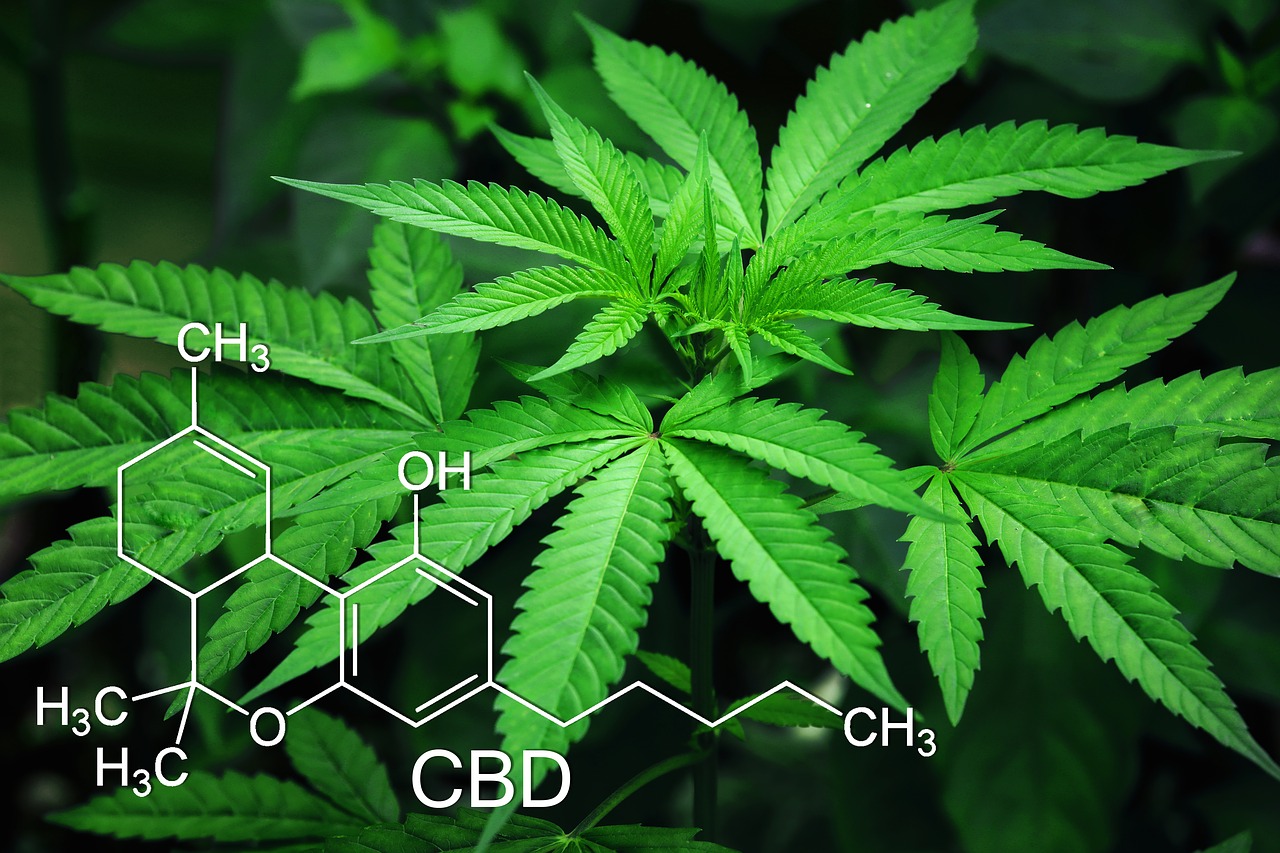the best ways to smoke cannabis