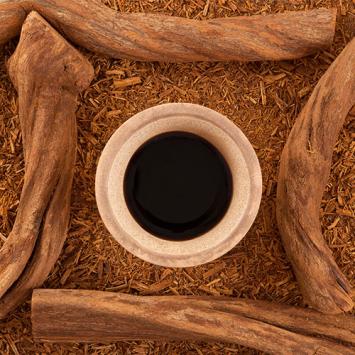 Banisteriopsis Caapi Rot Flüssig Liquid 15:1