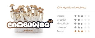 Cambodian FreshMushrooms Mushroom Grow Kit 1200cc
