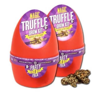 2X Growkit Atlantis Magic Truffel  – 1 + 1 GRATIS