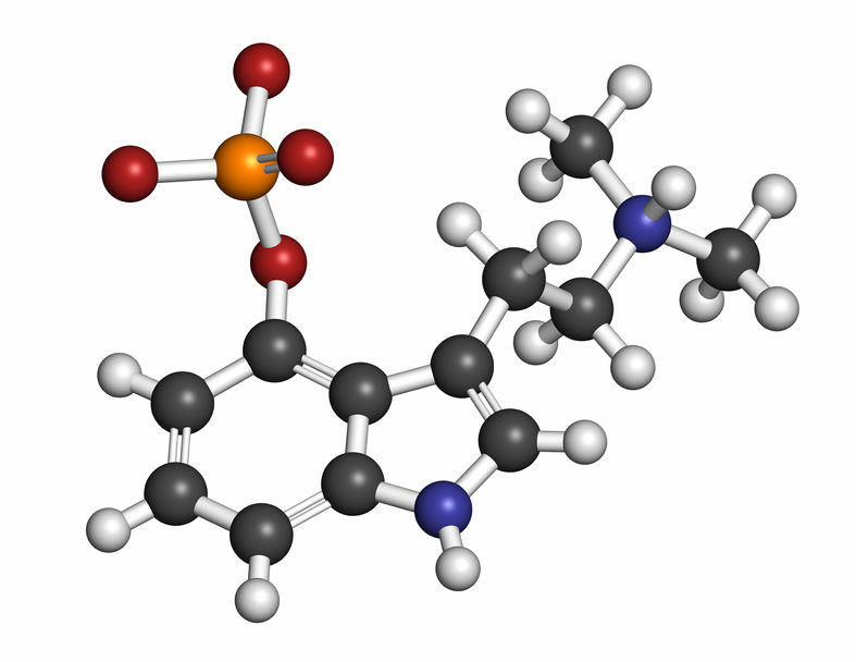 psilocybin-information